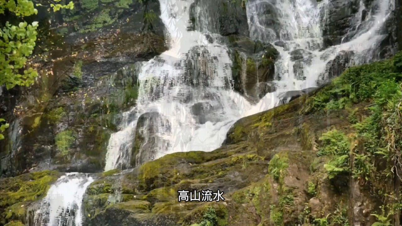 探索知识星球平台一拳超人中的赛克斯作为一个人类,却能成为怪人协会幕后的大佬,为什么?,尽享学习与交流盛宴